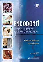 endodonti-temel-ilkeler-ve-uygulamalar