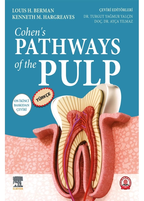 cohens-pathways-of-the-pulp-turkce-12baski