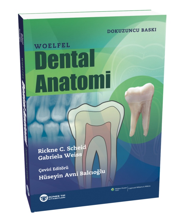 woelfel-dental-anatomi