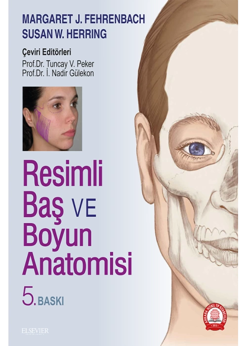 resimli-bas-ve-boyun-anatomisi