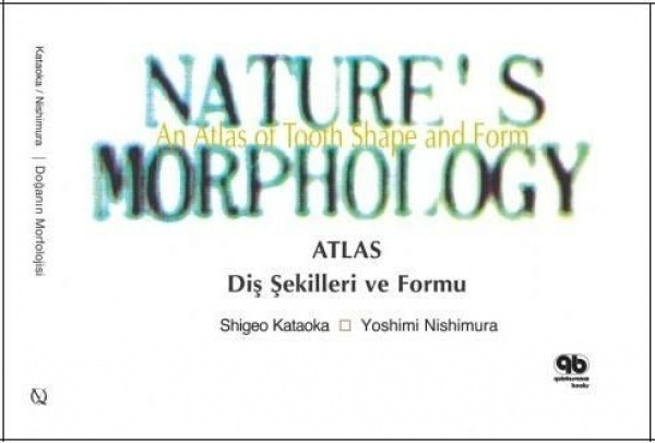 doganin-morfolojisi-dislerin-sekil-ve-form-atlasi